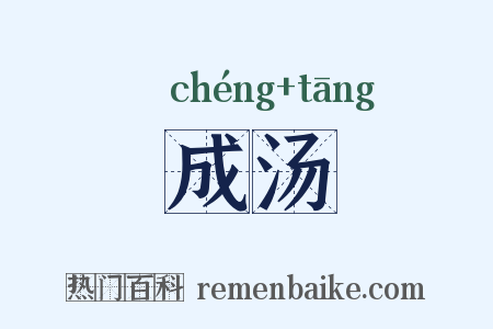成汤是什么意思的图片